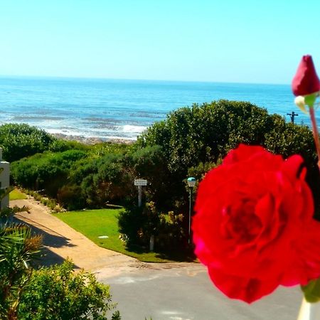 Belle Vue Guesthouse Hermanus Eksteriør billede