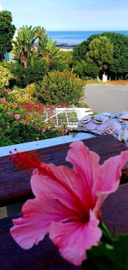 Belle Vue Guesthouse Hermanus Eksteriør billede