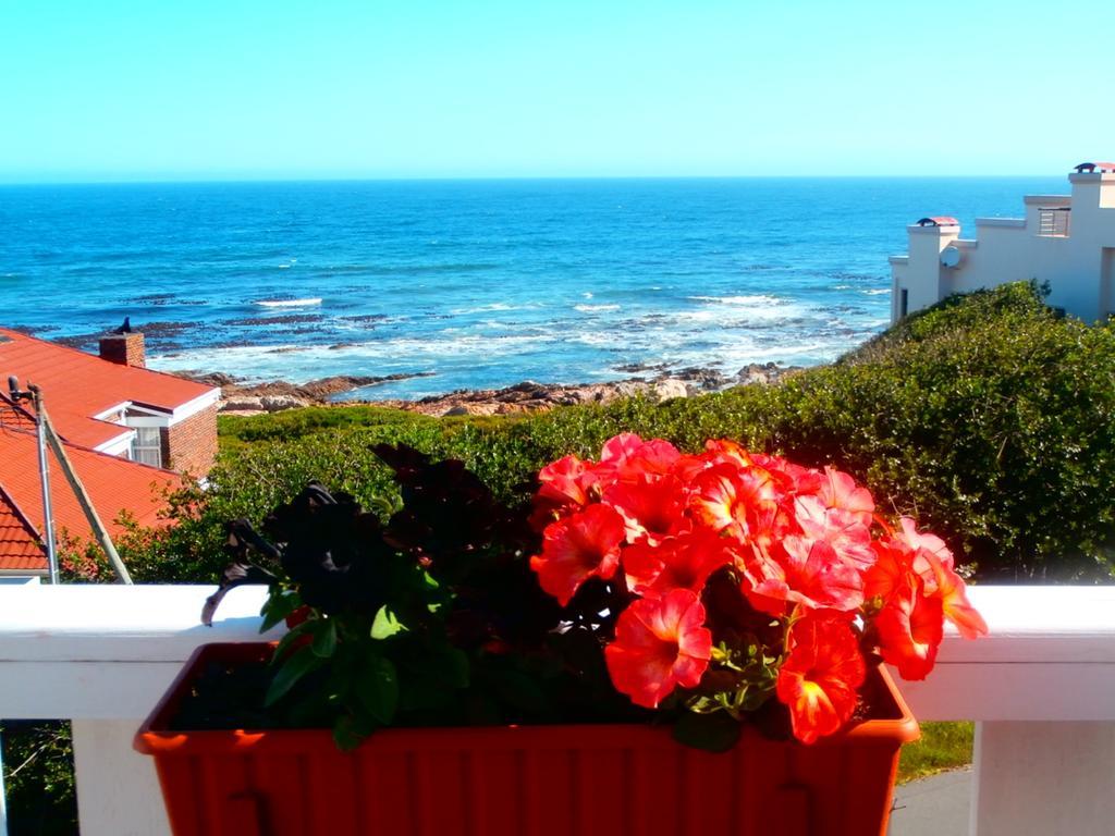 Belle Vue Guesthouse Hermanus Eksteriør billede