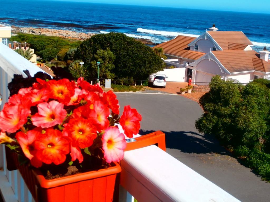 Belle Vue Guesthouse Hermanus Eksteriør billede