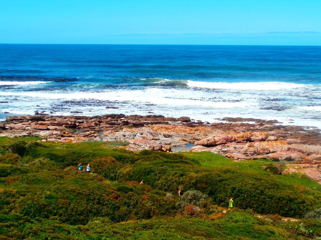 Belle Vue Guesthouse Hermanus Eksteriør billede