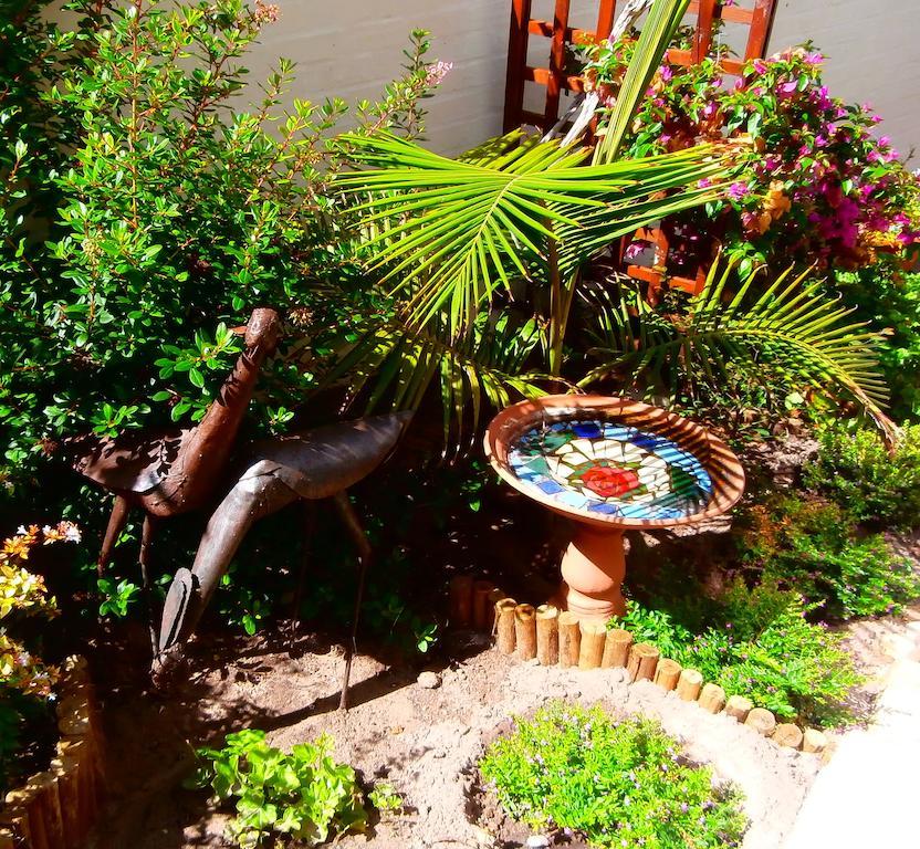 Belle Vue Guesthouse Hermanus Eksteriør billede
